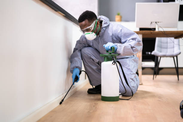 Best Commercial Pest Control  in Riverview, FL